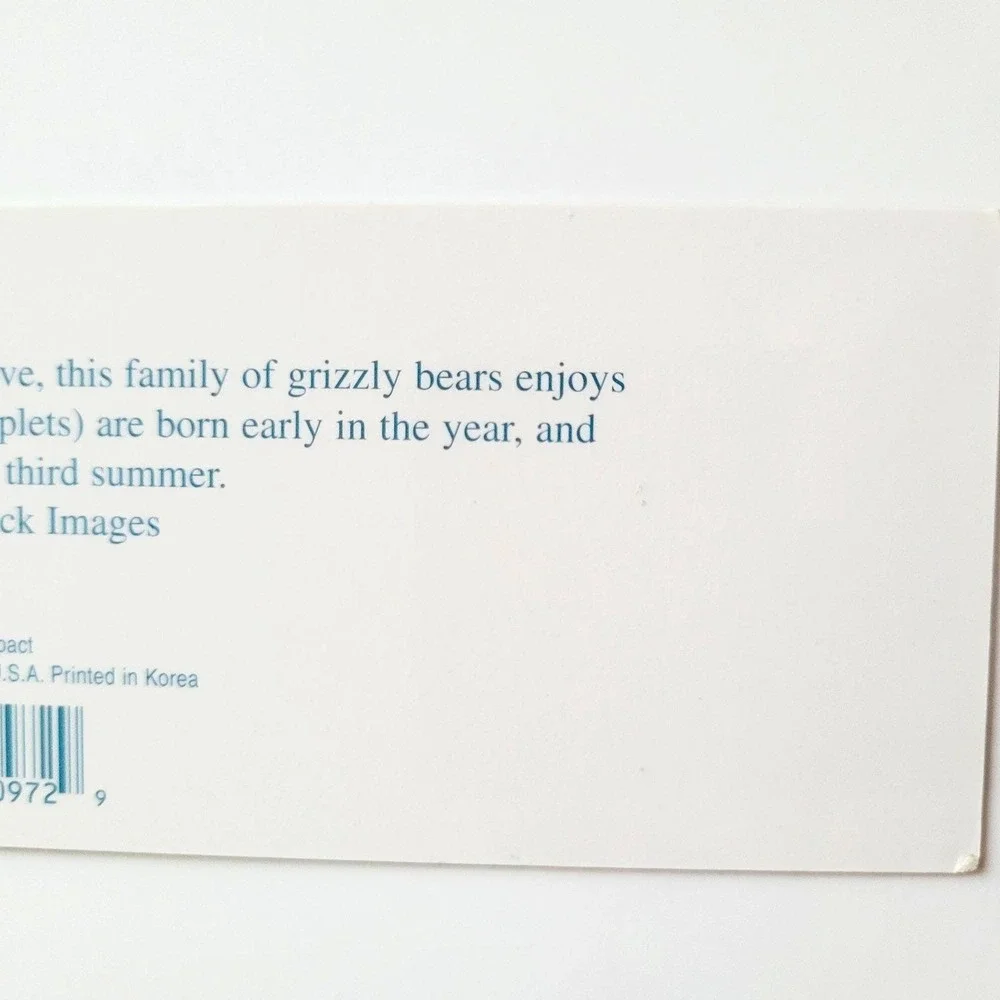 Vintage Y2K Denali Park Bookmark Grizzly Bears Patrick Enders Korea Impact 48690